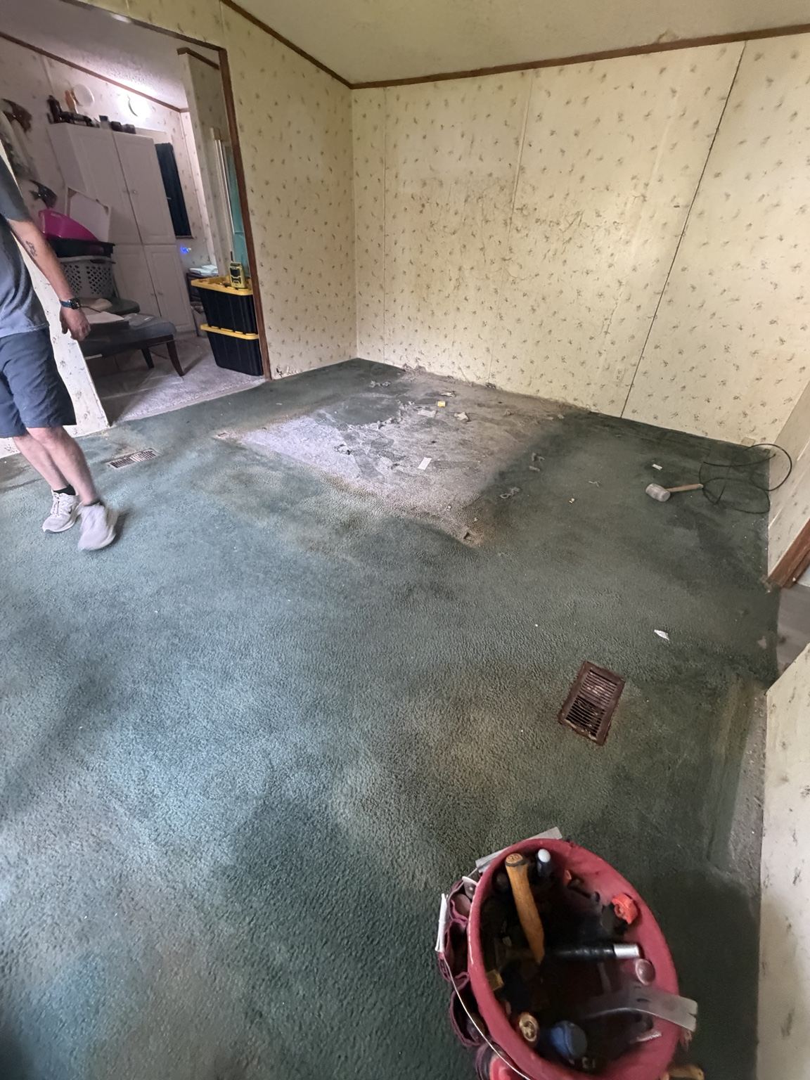 Carpet Removal to New Flooring before