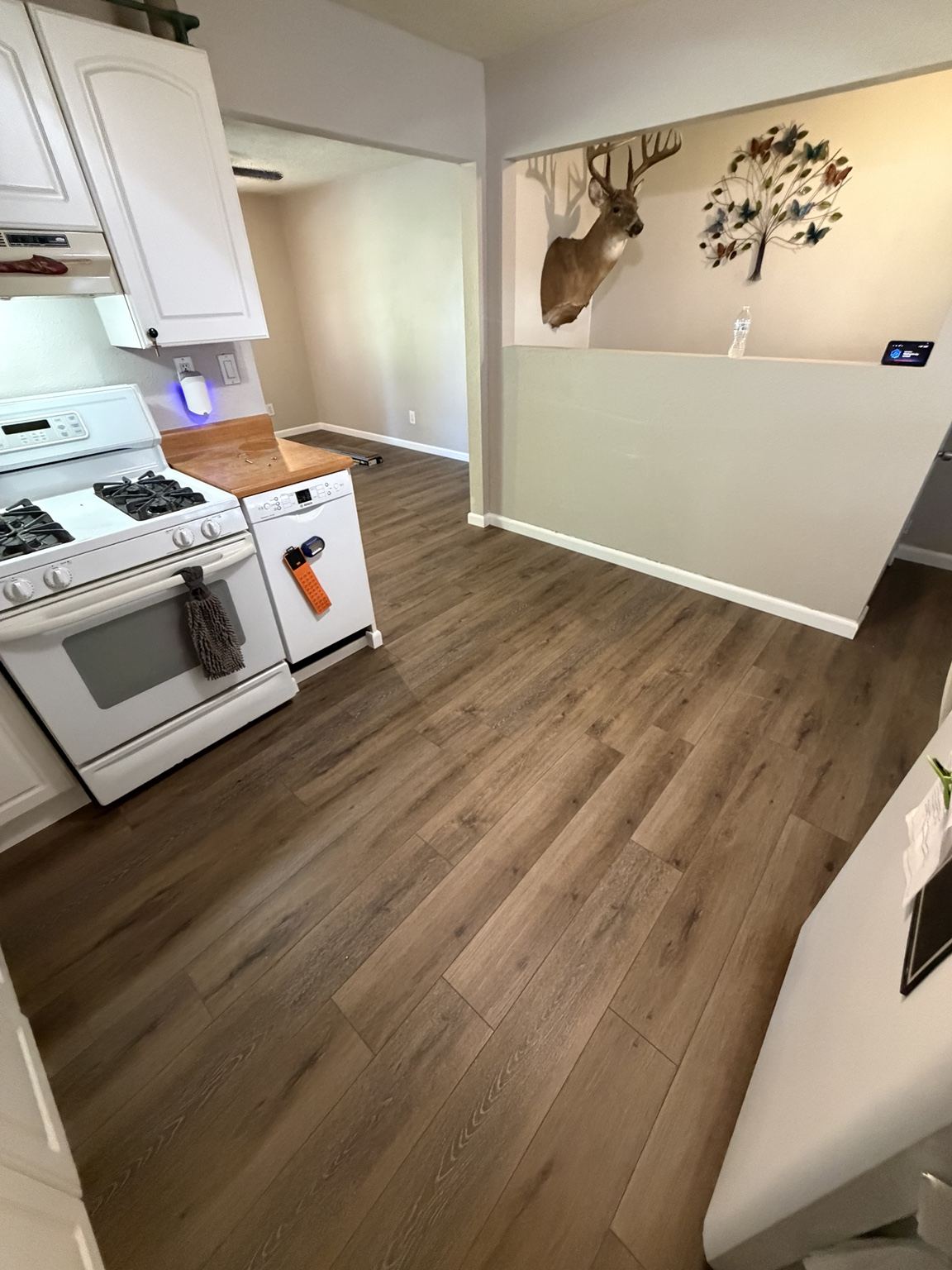 LVP Flooring Installation